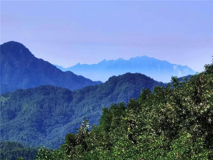 河南萬家園集團重點工程巡禮一一“氧”在猿人山（之四）